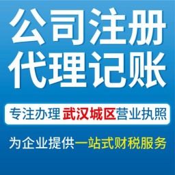 武汉青山代办公司营业执照、工商注册与会计服务全攻略
